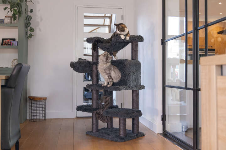 beeztees Kratzbaum Duco